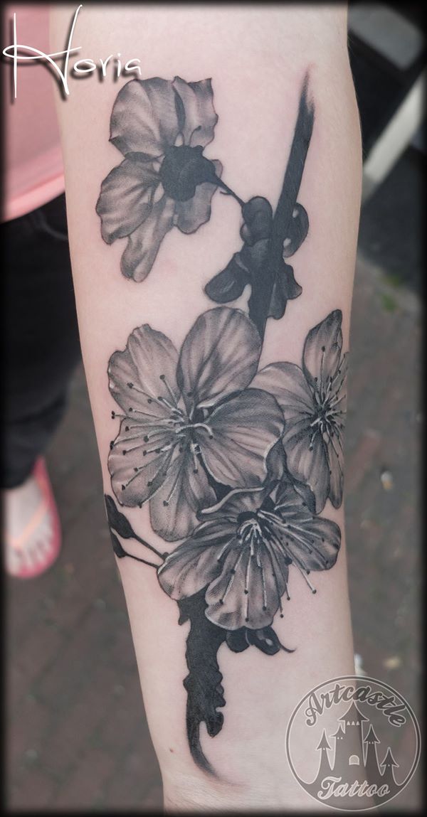 ArtCastleTattoo Tattoo ArtiestHoria Black n grey realistic cherry blossom tattoo on lower arm Black n Grey