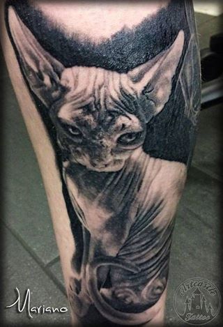 ArtCastleTattoo Tattoo ArtiestMariano Leg piece of a realistic Sphynx cat Black n Grey