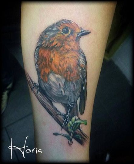 ArtCastleTattoo Tattoo ArtiestPrive Horia Realistic Robin tattoo bird in full color on lower arm Color